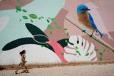 Calouste Gulbenkian Avenue, Smile 2020