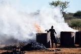 From Waterberg Plateau NP to Cheetah Conservation Fund