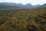 Isle of Skye, Torrin