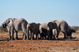 Etosha National Park, Tsumcor Waterhole