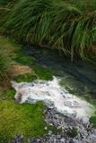 Popayn, Parque Purac, Termales San Juan