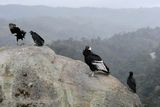 Popayn, Parque Purac, Condor Lookout