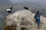 Popayn, Parque Purac, Condor Lookout