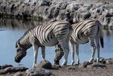 Etosha National Park, Etosha Waterhole