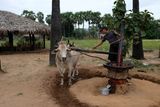 Bagan, Near Taun Zin Village