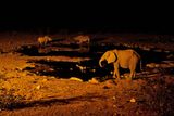 Etosha National Park, Halali Waterhole
