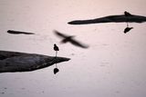 Etosha National Park, Halali Waterhole
