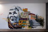 Cho do Loureiro Parking, Miguel Janurio 2011