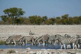 Etosha National Park, Nuamses Waterhole