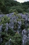 Stone Forest, Philippines