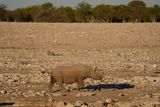 Etosha National Park, Okaukuejo Waterhole