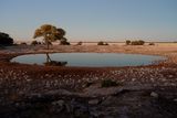 Etosha National Park, Okaukuejo Waterhole