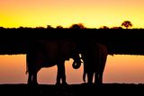 Etosha National Park, Okaukuejo Waterhole