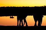 Etosha National Park, Okaukuejo Waterhole