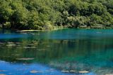 Blue Eye, Muzin