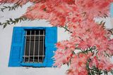 Porto Palermo