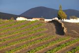Ecofinca La Bungavilla
