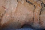 Brandberg, White Lady Paintings
