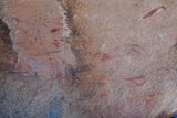 Brandberg, White Lady Paintings