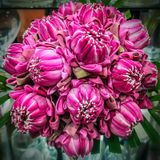 Mothers Day