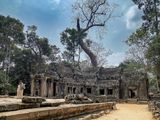 Wat Ta Prohm  7