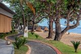 Beach Trail
