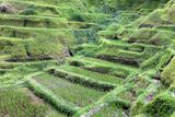 Rice Terrace 2