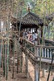 Yuelu Academy 岳麓书院 6