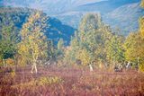 Nalychevo National Park