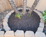 Leaves cleaned out!.jpg