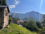 IMG_1354.jpg