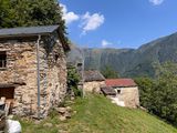 IMG_1384.jpg