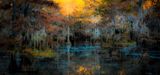 Enchanted...
