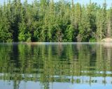 2008-07-26 07.39.24.jpg