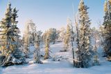 2004-11-22 16.14.54.jpg