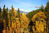 DSC_3293.JPG