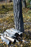 DSC_3232.JPG
