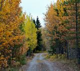 DSC_3211_1.JPG