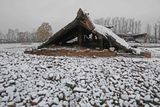 Probably about 90% of the victims of the Auschwitz complex were killed in the Birkenau camp