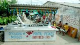 Fresh fish for sale in Maceio, Brazil