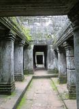 Interior passageway in Ta Prohm Temple