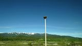 Osprey nest outside Jackson, WY