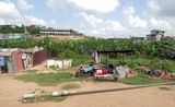 Bananas & Plantains are grown for local consumption in Ghana.JPG