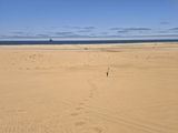 Bus on the road and people viewed from high up on a sand dune in Namibia.jpg