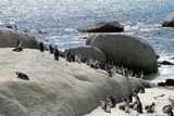 Boulders Beach is a sheltered beach made up of inlets between granite boulders.JPG