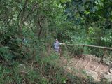 First leg of 45-minute hike on Tet Paul Nature Trail in St. Lucia