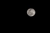 20230206-RKT_4222-Edit.jpg