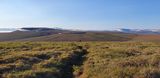 MP72 (Coffe Dome), Kougarok road, Nome