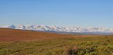Nome-MP72 (Coffe Dome), Kougarok road, Nome