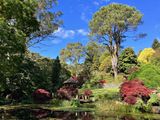 Windyridge Garden